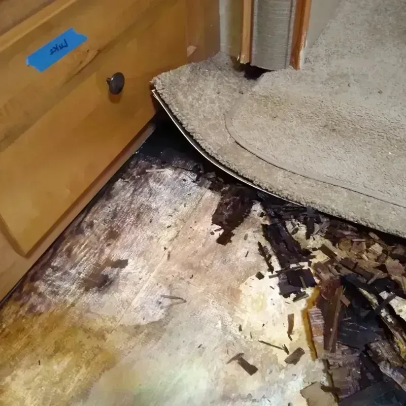 Wood Floor Water Damage in Kankakee, IL